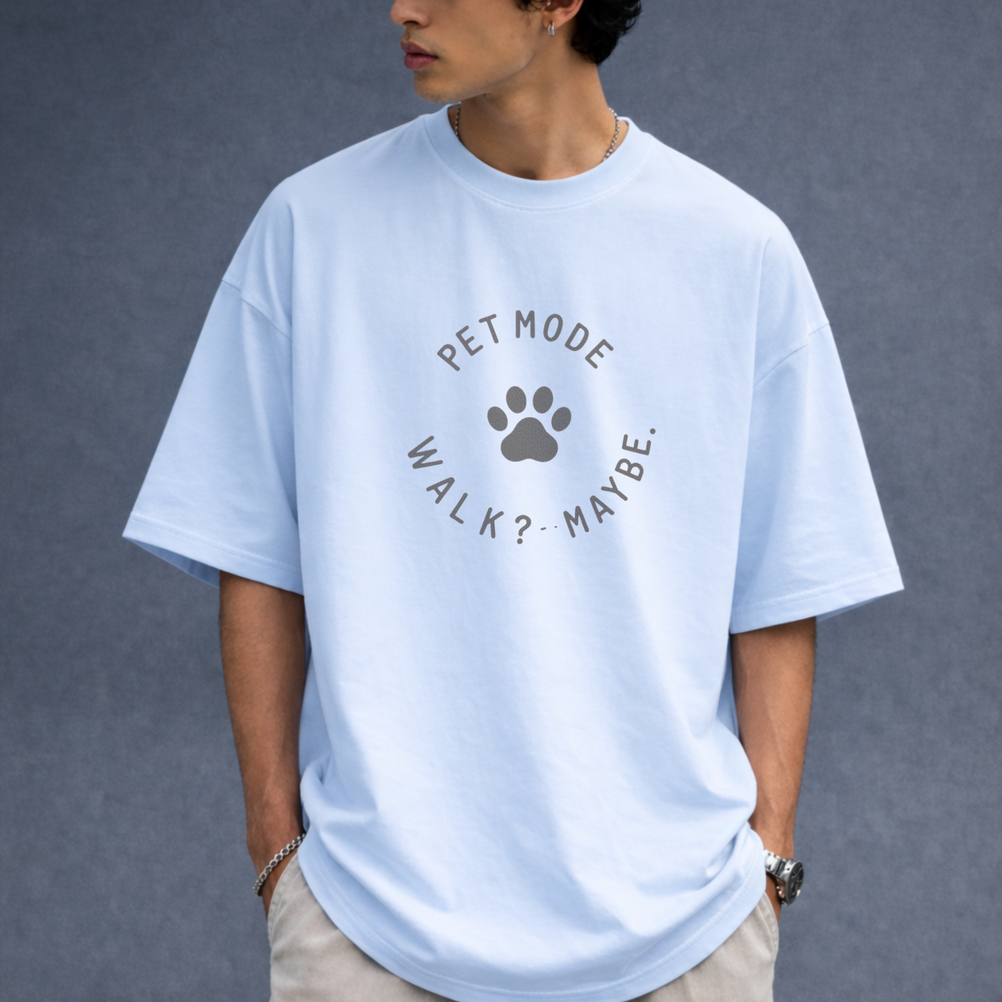 Pet Mode: Lazy Decisions